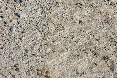 media/Feb-23-2024-2WTD (Fri) [[a719da276a]]/4-C Group/Session 5 (Turn 3 Inside)/